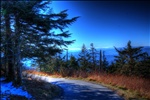 Azure on Clingman's Dome